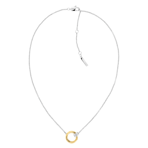 Colar com Argola Dourada