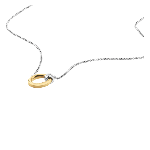 Colar com Argola Dourada