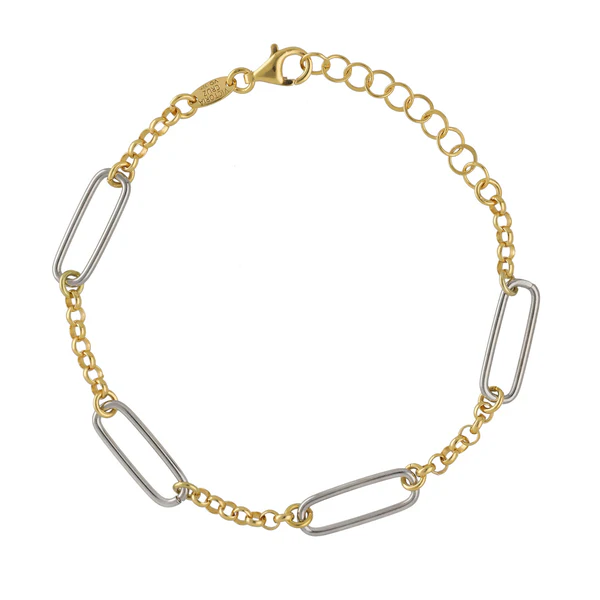 Pulseira Dourada e Elos