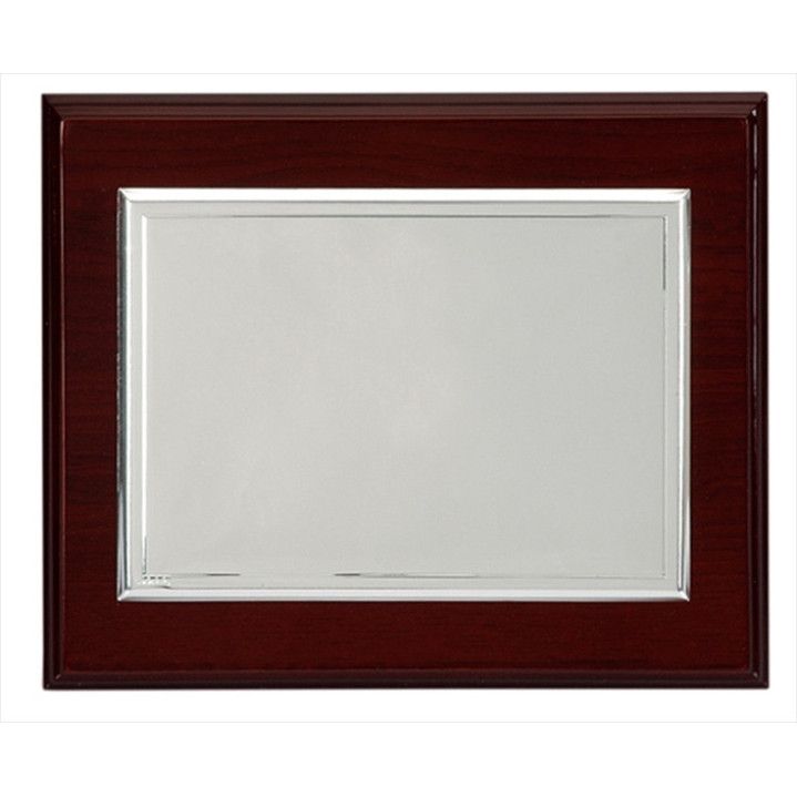Placa Bilaminada P-2024/2B