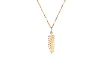 Colar Feto Dourado