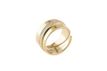Anel Dourado e Pó Diamante